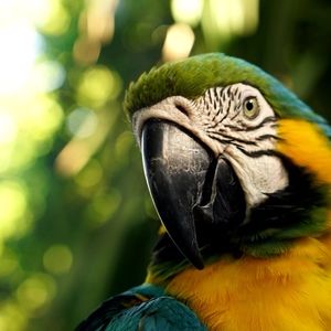 Meet your Posher, Mackenzie